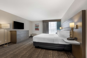 Standard Room, 1 King Bed, Hearing Accessible, Refrigerator & Microwave