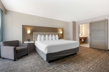 Suite, 1 King Bed, Mobility Accessible, Refrigerator & Microwave (Roll-In Shower)