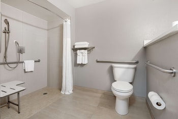 Suite, Multiple Beds, Mobility Accessible, Refrigerator & Microwave (Roll-In Shower)