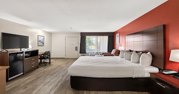 Deluxe Room, 1 King Bed, Non Smoking, Refrigerator & Microwave