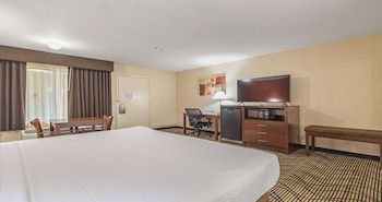 Standard Room, 1 King Bed, Accessible, Refrigerator & Microwave