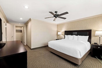 Suite, 1 King Bed, Non Smoking, Kitchen (Living Room;with Sofabed)
