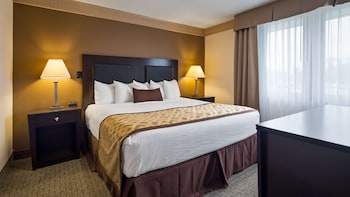 Suite, 1 King Bed, Non Smoking, Refrigerator & Microwave (Shower Only)