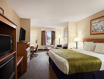 Business Room, 1 King Bed