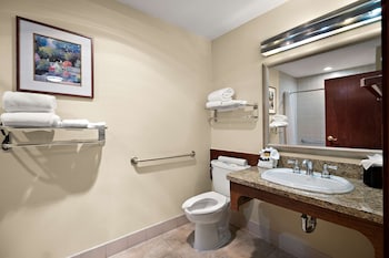 Standard Room, 1 King Bed, Accessible, Refrigerator & Microwave
