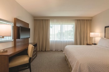 Room, 1 King Bed (High Floor)