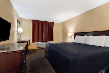 Room, 1 King Bed
