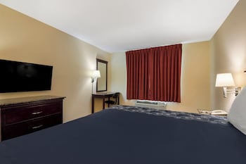 Room, 1 King Bed