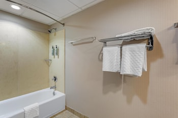 Suite, 1 King Bed, Non Smoking, Refrigerator & Microwave (with Sofabed)