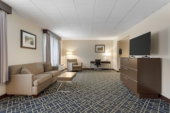 Suite, 1 King Bed, Non Smoking, Refrigerator & Microwave (with Sofabed)