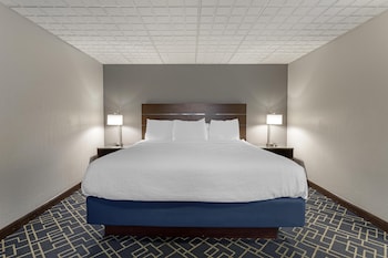 Suite, 1 King Bed, Non Smoking, Refrigerator & Microwave (with Sofabed)