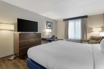 Standard Room, 1 King Bed, Non Smoking, Refrigerator & Microwave (Pet Friendly)