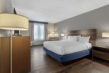 Standard Room, 1 King Bed, Non Smoking, Refrigerator & Microwave (Pet Friendly)