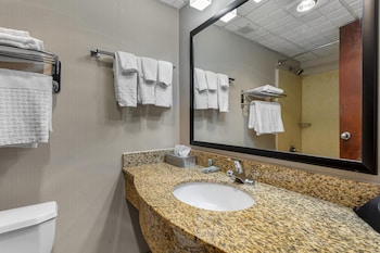 Standard Room, 1 King Bed, Non Smoking, Refrigerator & Microwave (Pet Friendly)