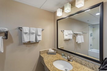 Suite, 1 King Bed, Non Smoking, Refrigerator & Microwave (with Sofabed)