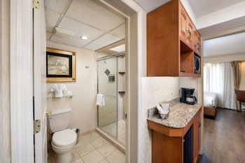 Suite, 1 King Bed, Non Smoking, Refrigerator & Microwave (with Sofabed)