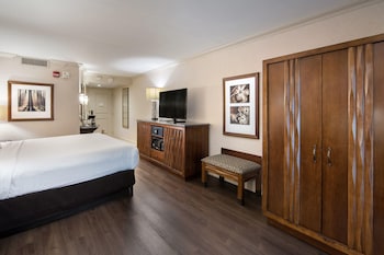 Standard Room, 1 King Bed, Accessible, Non Smoking