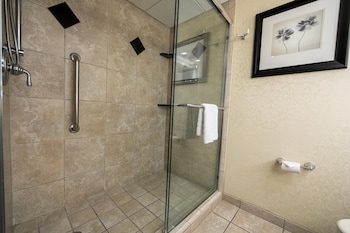 Standard Room, 1 King Bed, Non Smoking, Refrigerator (18+ Only)