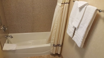Suite, 1 King Bed, Non Smoking, Refrigerator & Microwave (with Sofabed)