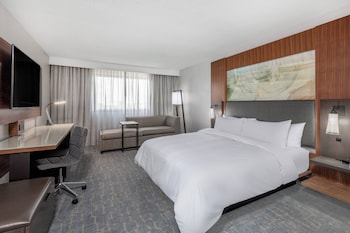 Room, 1 King Bed with Sofa bed (Mobility/Hearing Accessible, Tub)