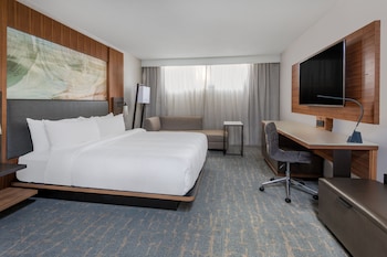 Room, 1 King Bed with Sofa bed