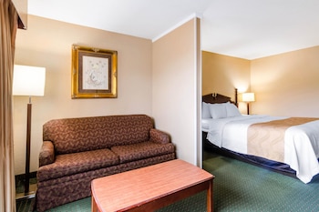 Room, 1 King Bed with Sofa bed, Non Smoking