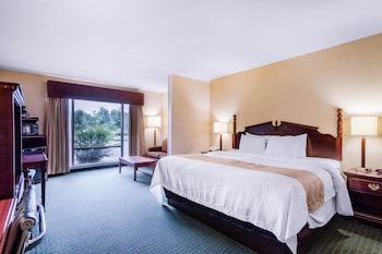 Room, 1 King Bed, Accessible, Non Smoking