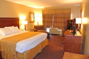 Standard Room, 1 King Bed, Non Smoking