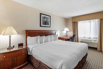 Standard Room, 1 King Bed