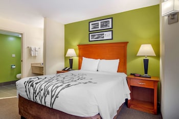 Standard Room, 1 Queen Bed, Non Smoking