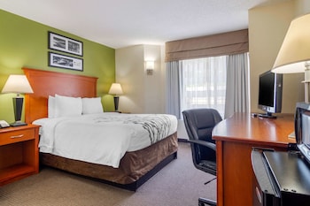 Standard Room, 1 Queen Bed, Non Smoking