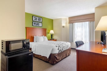 Standard Room, 1 Queen Bed, Non Smoking