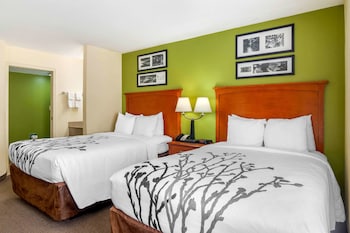 Room, 2 Double Beds, Non Smoking (Pet Friendly)