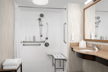 Room, 1 King Bed, Accessible, Non Smoking (Roll-In Shower)