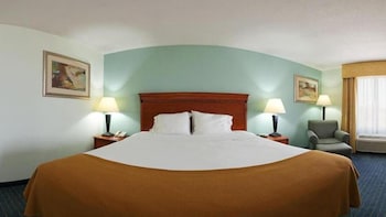 Suite, 1 King Bed with Sofa bed