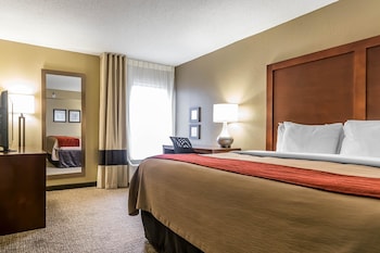 Standard Room, 1 King Bed, Non Smoking