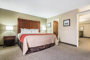 Suite, 1 King Bed, Non Smoking