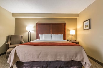 Room, 1 King Bed, Accessible, Non Smoking (Roll-In Shower)