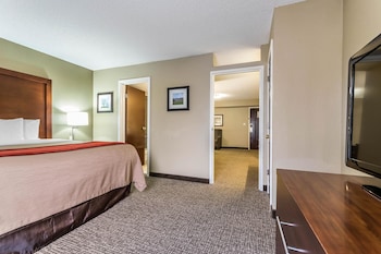 Suite, 1 King Bed, Non Smoking