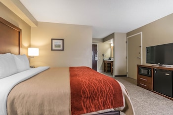 Basic Room, 1 Queen Bed, Accessible, Non Smoking