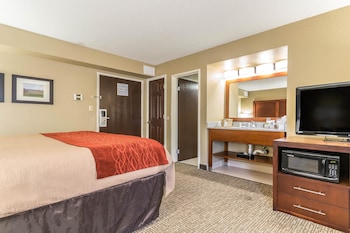 Standard Room, 1 King Bed, Non Smoking