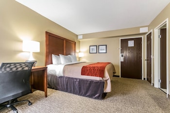 Standard Room, 1 King Bed, Non Smoking