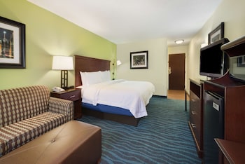 Room, 1 King Bed, Accessible (Roll-in Shower)
