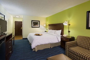 Room, 1 King Bed, Accessible (Roll-in Shower)