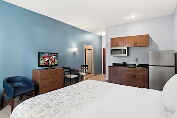 Studio, 1 King Bed, Non Smoking