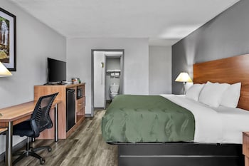 Room, 1 King Bed, Accessible, Smoking