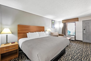 Standard Room, 1 King Bed, Non Smoking