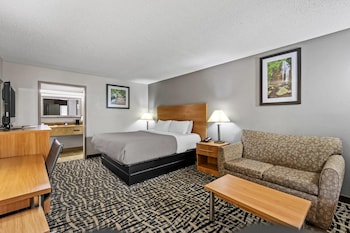 Standard Room, 1 King Bed, Non Smoking
