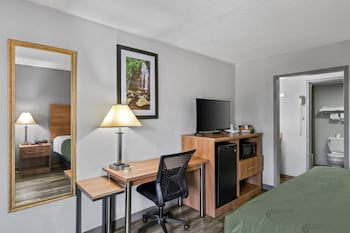 Room, 1 King Bed, Accessible, Smoking