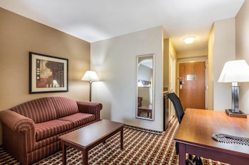 Suite, 1 King Bed, Non Smoking